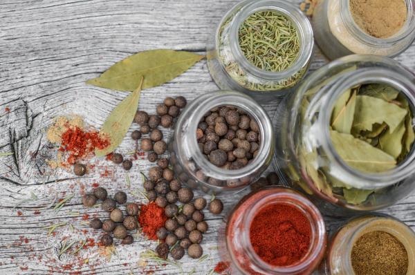 Piante Aromatiche in Cucina: Come Coltivare Erbe Fresche