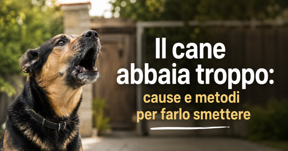 Il cane abbaia troppo: cause e metodi per farlo smettere