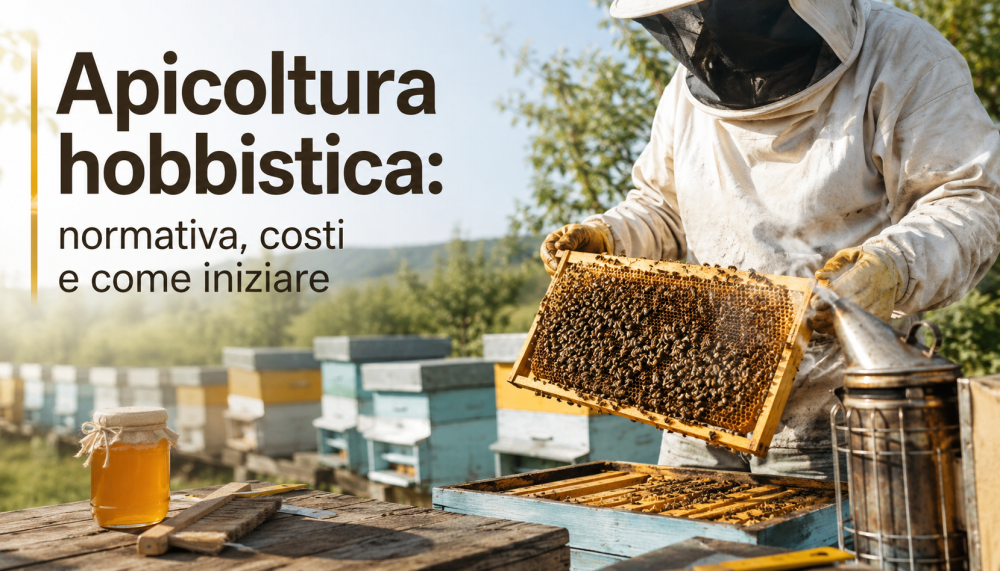 Apicoltura hobbistica e Api: normativa, costi e come iniziare