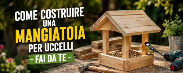 Come costruire una mangiatoia per Uccellini Fai da te