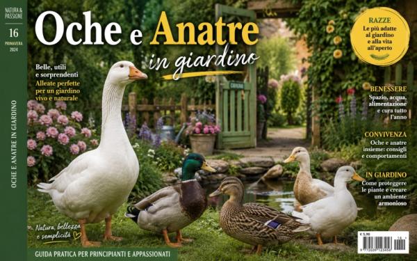 Oche e Anatre in giardino: i nostri consigli per allevarle in modo sano, sicuro e responsabile