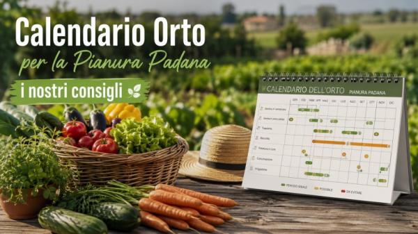 Calendario Orto per la Pianura Padana, i nostri consigli